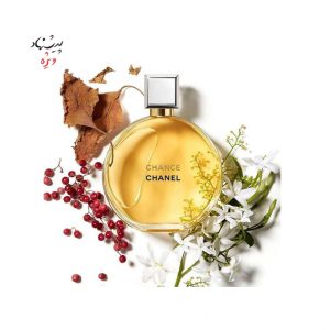 عطر و ادکلن شنل زنانه در کیش