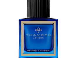 نقد و بررسی Thameen Regent Leather