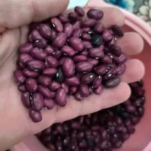 فروش موادغذایی عمده وشوینده