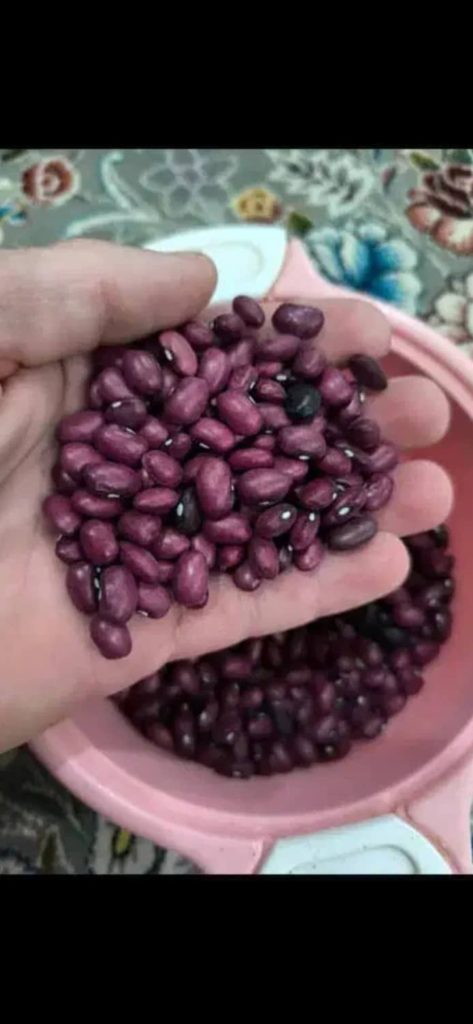 فروش موادغذایی عمده وشوینده