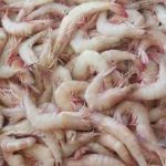 همکاری بابازاریابان بین المللی